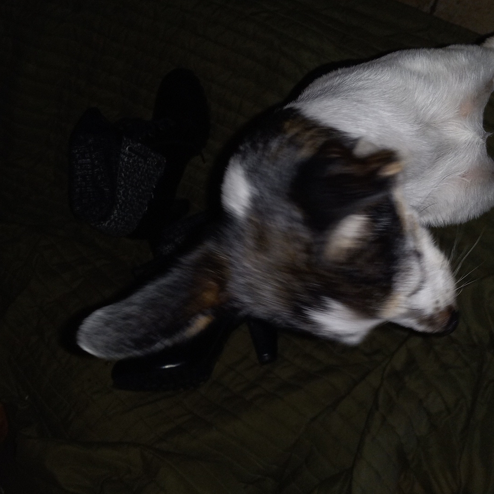 Shoes size - Picture 3 of 3